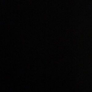 Meet your Posher, Raven